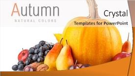  Presentation with isolated fall oak leaf - Audience pleasing slide deck consisting of autumnal fruit with yellow leaf backdrop and a white colored foreground