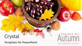  Presentation with fruits and vegetables - Presentation having autumnal harvest fruits and vegetables background and a sky blue colored foreground