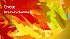  Presentation with deep blue - Colorful PPT layouts enhanced with autumnal leafs against deep blue sky backdrop and a dark gray colored foreground