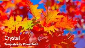  Presentation with deep blue - Slides having autumnal leafs against deep blue sky background and a crimson colored foreground