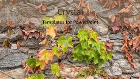  Presentation with growing - Presentation theme featuring autumnal-leaves-of-wine-growing background and a coral colored foreground