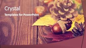  Presentation with detox green smoothies still life - Cool new PPT theme with autumnal still life with acorn backdrop and a coral colored foreground