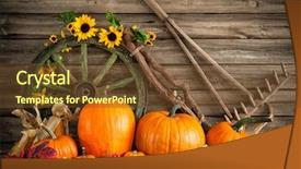  Presentation with thanksgiving - Cool new PPT theme with thanksgiving autumnal still life backdrop and a tawny brown colored foreground