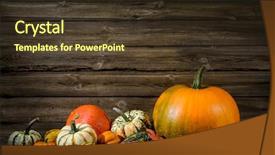  Presentation with thanksgiving - Beautiful PPT layouts featuring autumnal still life with pumpkins backdrop and a tawny brown colored foreground