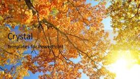  Presentation with sunny sky - Audience pleasing theme consisting of autumnal trees and sunny sky backdrop and a  colored foreground