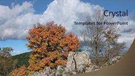  Presentation with oak - Theme consisting of autumnal view oak and encrusted background and a  colored foreground