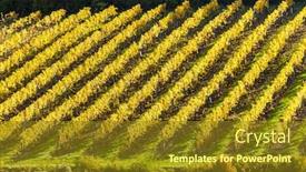  Presentation with vineyard - Audience pleasing presentation consisting of autumnal-vineyard-near-falkenstein-lower backdrop and a tawny brown colored foreground
