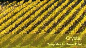  Presentation with vineyard - Colorful PPT layouts enhanced with autumnal-vineyard-near-falkenstein-lower backdrop and a tawny brown colored foreground