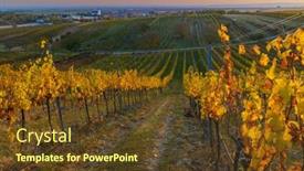  Presentation with vineyard - PPT theme consisting of autumnal-vineyard-with-unterretzbach-village background and a tawny brown colored foreground