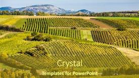  Presentation with vineyards - Slides consisting of autumnal-vineyards-near-falkenstein-lower background and a tawny brown colored foreground