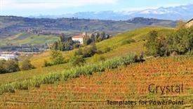  Presentation with vineyards - Amazing presentation theme having autumnal vineyards on the hills of langhe in piedmont northern italy backdrop and a gold colored foreground