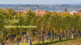  Presentation with vineyards - Amazing theme having autumnal vineyards with ripe grapes and small town on background in piedmont northern italy backdrop and a tawny brown colored foreground