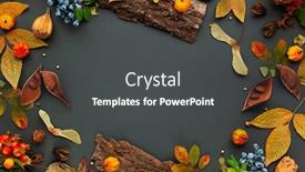  Presentation with leaves flat lay - Audience pleasing slide deck consisting of autumnal-winter-composition-with-dried backdrop and a dark gray colored foreground