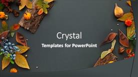  Presentation with leaves flat lay - Audience pleasing PPT theme consisting of autumnal-winter-composition-with-dried backdrop and a dark gray colored foreground
