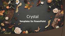  Presentation with eucalyptus leaves - PPT theme with autumnal-winter-concept-with-dried background and a dark gray colored foreground