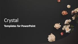  Presentation with dark space - Slide deck having autumnal-winter-concept-with-dried background and a dark gray colored foreground