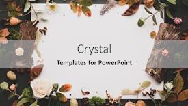  Presentation with eucalyptus leaves - Colorful presentation design enhanced with autumnal-winter-concept-with-dried backdrop and a white colored foreground