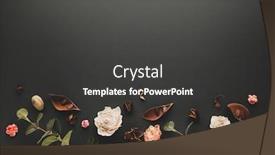  Presentation with eucalyptus leaves - Colorful PPT theme enhanced with autumnal-winter-concept-with-dried backdrop and a dark gray colored foreground