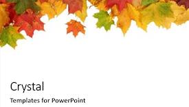  Presentation with autumn leaves - Amazing theme having background with bright autumn leaves backdrop and a white colored foreground