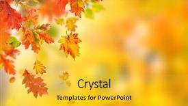  Presentation with fall leaves border autumn - Audience pleasing slides consisting of colorful autumnal background with leaves backdrop and a  colored foreground