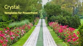  Presentation with war roses tudor rose - Presentation with avenue of the roses background and a tawny brown colored foreground