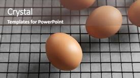  Presentation with incubator - Audience pleasing slide set consisting of avian - grill with eggs in incubator backdrop and a violet colored foreground