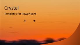  Presentation with migration - Beautiful slide deck featuring aviation free - northward sandhill crane migration backdrop and a yellow colored foreground