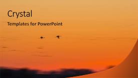  Presentation with migration - Audience pleasing theme consisting of aviation free - northward sandhill crane migration backdrop and a yellow colored foreground