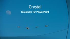  Presentation with migration - Beautiful slides featuring aviation free - northward sandhill crane migration backdrop and a ocean colored foreground