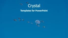  Presentation with migration - Theme with aviation free - northward sandhill crane migration background and a gray colored foreground