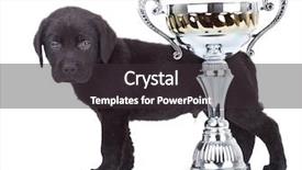  Presentation with champion - Cool new theme with awards show - little champion - side view backdrop and a  colored foreground