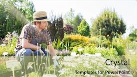  Presentation with nursery plant - Beautiful slide set featuring away while gardening at plant backdrop and a  colored foreground