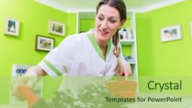  Presentation with pet grooming - Cool new PPT layouts with dog or pet grooming parlor backdrop and a mint green colored foreground