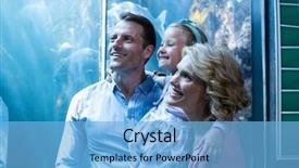  Presentation with fish aquarium - Audience pleasing slide set consisting of awe - happy family looking at fish backdrop and a light blue colored foreground