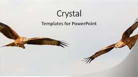  Presentation with awesome - Slide deck having awesome birds of prey background and a white colored foreground