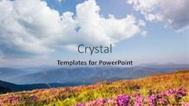  Presentation with summer flowers - Colorful slide deck enhanced with awesome-pink-rhododendron-flowers backdrop and a light blue colored foreground