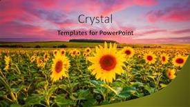  Presentation with earth land - Presentation design with awesome-scene-of-exotic-yellow background and a coral colored foreground