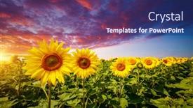  Presentation with earth land - Slides with awesome-scene-of-exotic-yellow background and a navy blue colored foreground