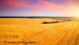  Presentation with hay field - Amazing PPT theme having awesome-top-view backdrop and a gold colored foreground