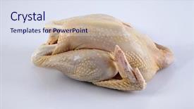  Presentation with hen - Audience pleasing PPT theme consisting of ayam - crude hen on a white backdrop and a sky blue colored foreground