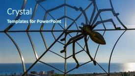  Presentation with napa - 