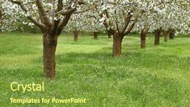  Presentation with tree sky trees green - Slide deck with ayus - spring cherry blossom trees background and a tawny brown colored foreground