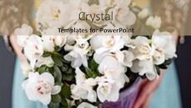  Presentation with azalea - Audience pleasing PPT layouts consisting of azalea flower in the pot backdrop and a coral colored foreground