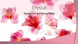  Presentation with azalea - Colorful presentation enhanced with azalea flowers on the white backdrop and a lemonade colored foreground