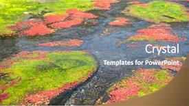  Presentation with winter river - Cool new theme with azolla floating of the river backdrop and a gray colored foreground