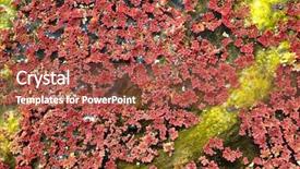  Presentation with winter river - Slide set having azolla floating of the river background and a red colored foreground