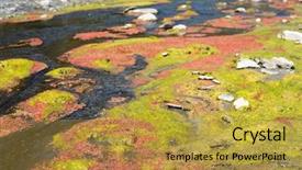 Presentation with azolla - Cool new slide set with azolla floating of the river backdrop and a gold colored foreground