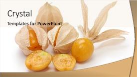  Presentation with tomato - Slide set enhanced with aztec background - physalis edible husk tomato background and a lemonade colored foreground