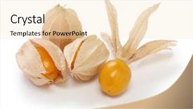  Presentation with edible food packaging - Amazing presentation design having aztec background - physalis edible husk tomato backdrop and a  colored foreground