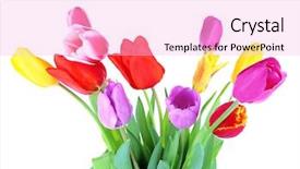  Presentation with scroll paper isolated on white - PPT theme with black electric guitar close-up - art musical background background and a dark gray colored foreground